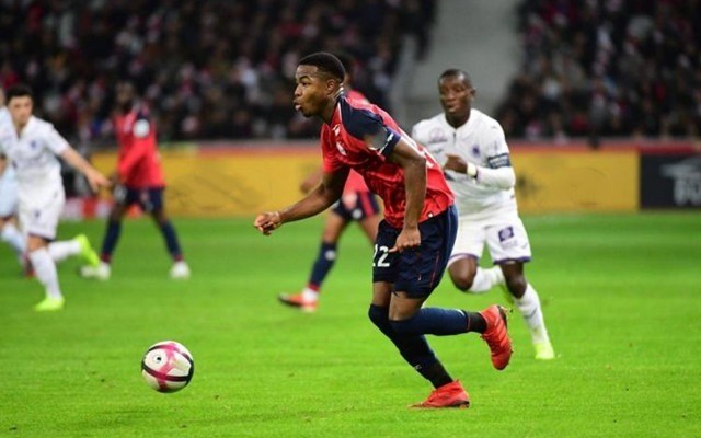 鱼儿说三推 鱼儿说三推